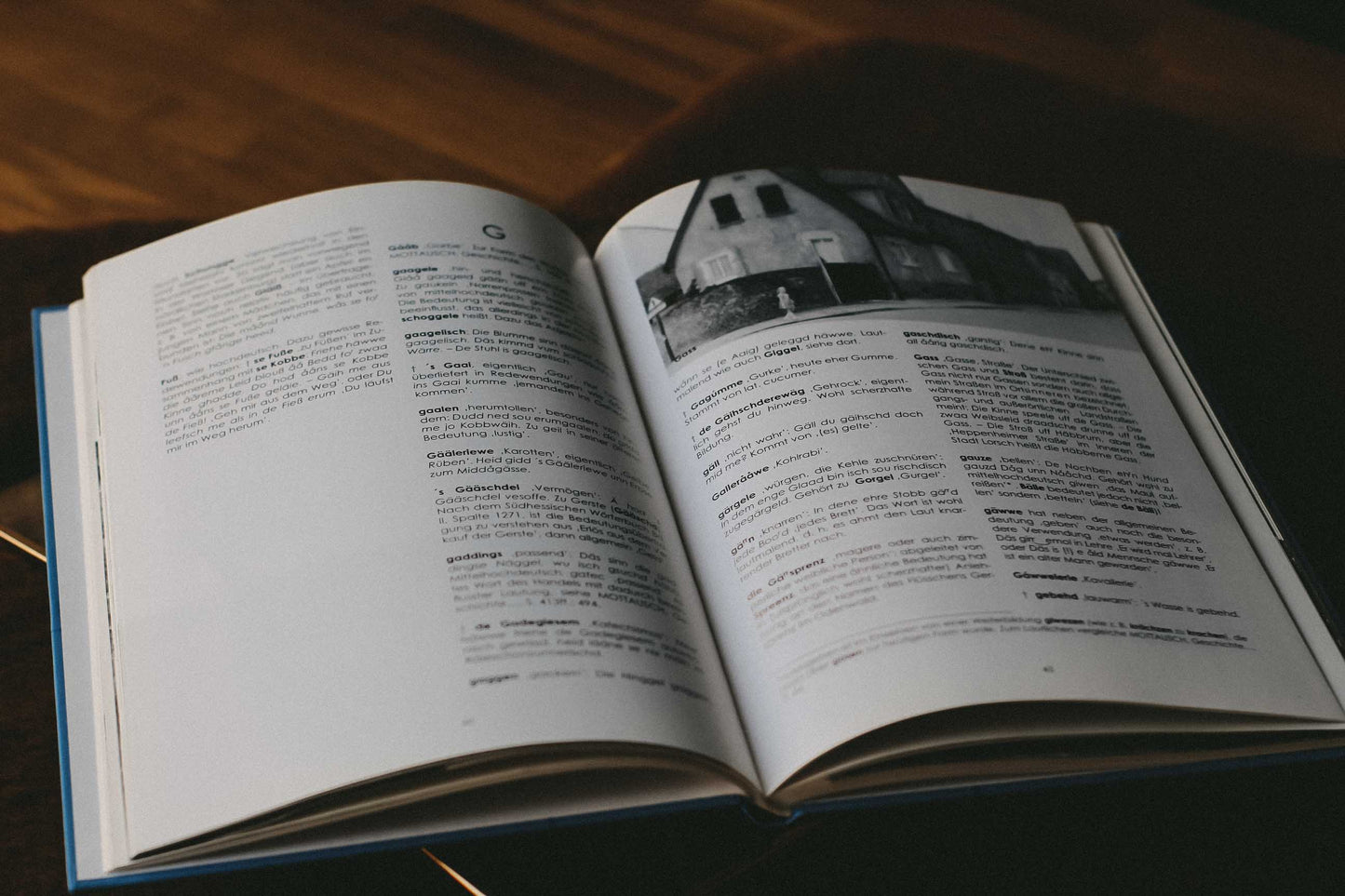 Lorscher Mundart Buch